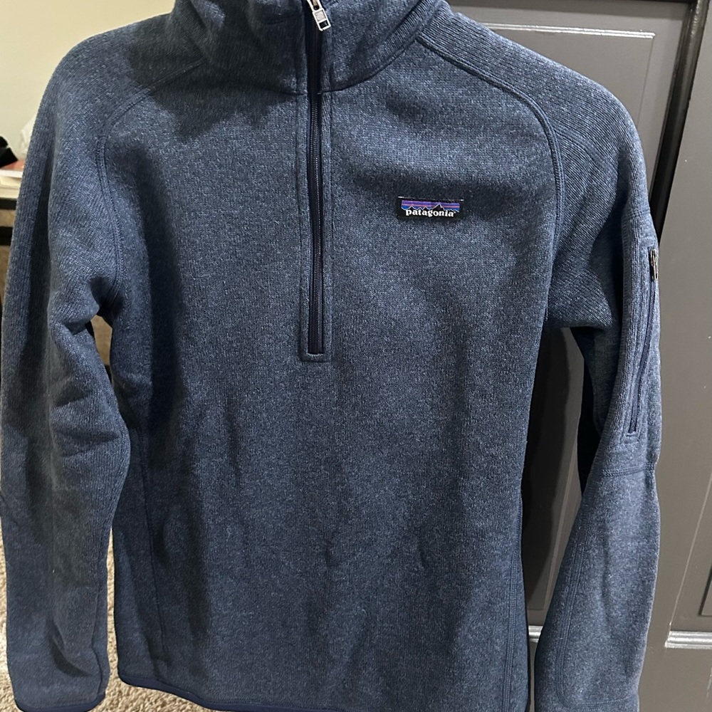 Patagonia women’s Blue Zip-Up Sweater